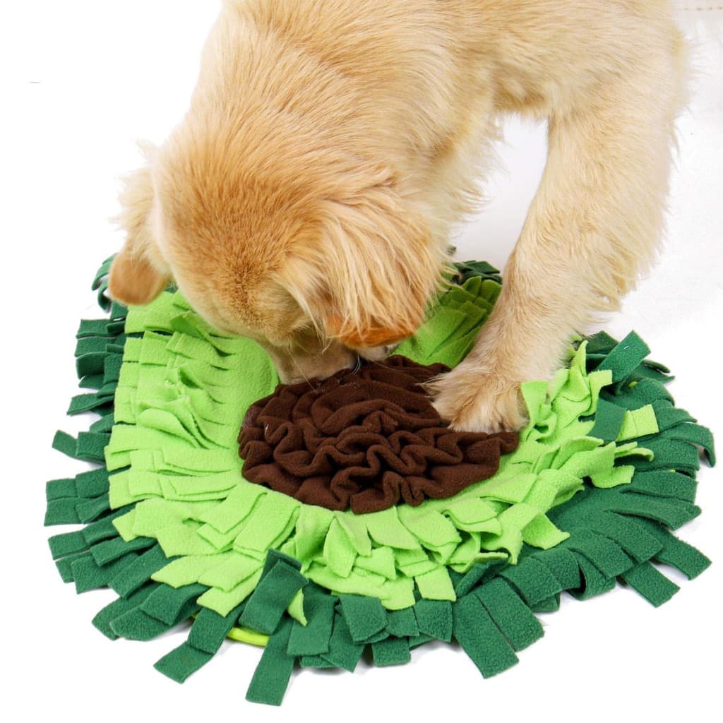 Golden Retriever foraging in Avocado Snuffle Mat