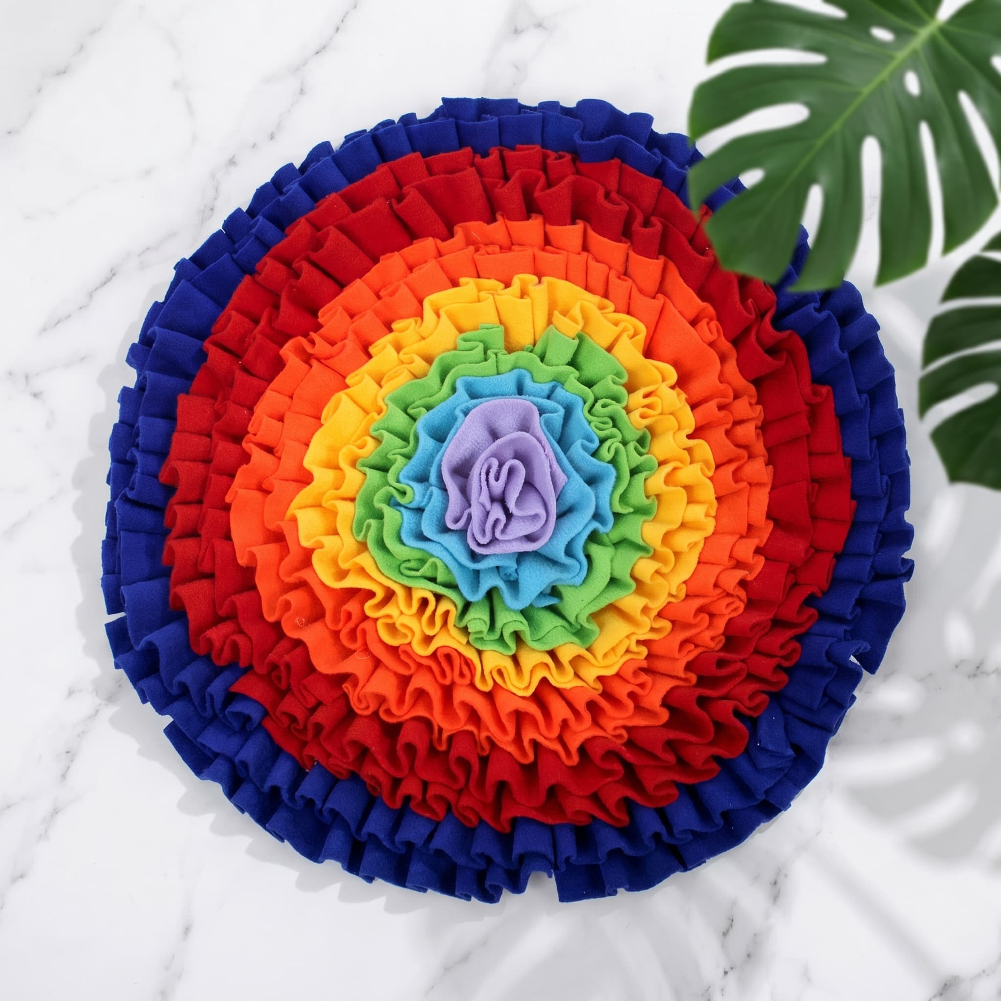Rainbow Mat — Puppy sitting on the mat